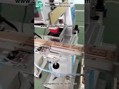 Macchina per la stampa a pad singolo a 1 colore